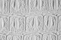 White crocodile leather texture Royalty Free Stock Photo