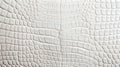 White crocodile leather texture. Royalty Free Stock Photo
