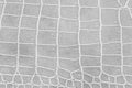 White of crocodile patterned artificial leather Royalty Free Stock Photo
