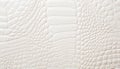 White crocodile skin texture background. Royalty Free Stock Photo