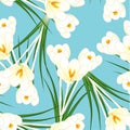 White Crocus Flower on Light Blue Background. Vector Illustration