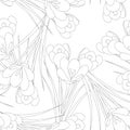 White Crocus Flower Outline Seamless Background. Vector Illustration