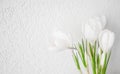 White crocuses close-up Royalty Free Stock Photo