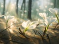 White crocuses in the forest close view AI generated art