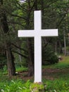 White Cross