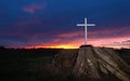 White Cross Tree Stump Royalty Free Stock Photo