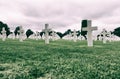 White crosses in American Cemetery Royalty Free Stock Photo