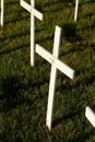 White Crosses Protesting Abortion Royalty Free Stock Photo