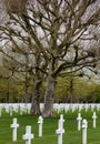 white crosses at american memorial and military cemetery of Margraten in the netherlands Royalty Free Stock Photo