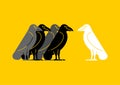 White crow among black crows. Vector illustration Royalty Free Stock Photo