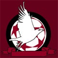 white crow logo for soccer