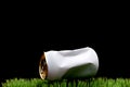 A white crushed soda can tossed on grass Royalty Free Stock Photo