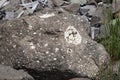 White Crystals Growing on a Boulder Royalty Free Stock Photo