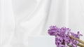 White cube empty podium with spring hyacinth flowers Royalty Free Stock Photo