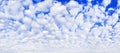 White cumulus clouds on blue sky background, beautiful cirrus cloudscape wide panoramic view, cloudy skies panorama, fluffy cloud Royalty Free Stock Photo