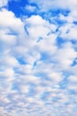 White cumulus clouds on blue sky background close up, fluffy cirrus cloud texture, beautiful cloudscape view, cloudy weather Royalty Free Stock Photo