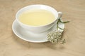 White cuo with herbal tea Royalty Free Stock Photo