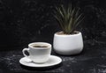 White cup with black aromatic coffee on a black abstract background with a potted flower in the background Royalty Free Stock Photo