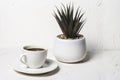 White cup with black aromatic coffee on a white abstract background with a potted flower in the background Royalty Free Stock Photo