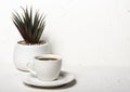 White cup with black aromatic coffee on a white abstract background with a potted flower in the background with a copy of the Royalty Free Stock Photo