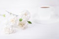 White cup of black coffee and carnations flowers on a white background, copy space Royalty Free Stock Photo