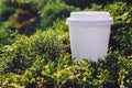 A white cup of black coffee or tea on the nature background Royalty Free Stock Photo