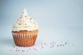 White cup cake Royalty Free Stock Photo