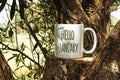 white cup of coffee with hello January text on Tree trunk wood Podium through olives tree