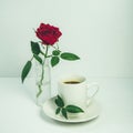 A white cup of coffee, a red rose on a white background. Breakfast. Morning with a cup of coffee. valentine`s day. Royalty Free Stock Photo
