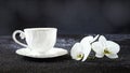 White cup of coffee and white orchid flowers. Romantic composition on a black background Royalty Free Stock Photo