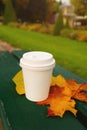 white cup of coffee and yellow autumn maple leaves on green bench in park Royalty Free Stock Photo