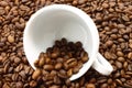 White cup and coffeebeans