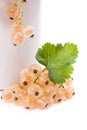 White cup with white currant berry in it and small bunch of white currant with green leaf isolated on white Royalty Free Stock Photo