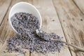 A white cup of dried lavender with stainless tea spoon Royalty Free Stock Photo