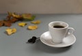 White cup with espresso on a white saucer among autumn yellow and green leaves on a gray background. Royalty Free Stock Photo