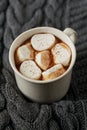 White cup of fresh hot cocoa or hot chocolate with marshmallows on grey knitted background Royalty Free Stock Photo