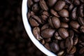 White cup full of coffee beans close up against the coffee beans background. Coffee mug. Royalty Free Stock Photo