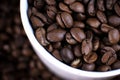 White cup full of coffee beans close up against the coffee beans background. Coffee mug. Royalty Free Stock Photo