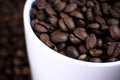 White cup full of coffee beans close up against the coffee beans background. Coffee mug. Royalty Free Stock Photo