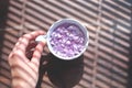 White cup full of lilac flowers in a hand over blinds shadow texture Royalty Free Stock Photo