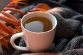 White cup with herbal hot tea and knitted scarf, orange autumn leaves. Evening mood Royalty Free Stock Photo