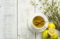 white cup of herbal sage tea with dried sage leaves and lemon on white wooden rustic background Royalty Free Stock Photo