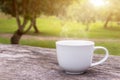 A white cup of hot espresso coffee mugs placed on a wooden floor with morning fog and garden with sunlight background,coffee Royalty Free Stock Photo