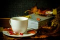White cup with hot tea, steam, woolen material surrounds a saucer Royalty Free Stock Photo