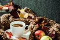 White cup with hot tea, steam, woolen material surrounds a saucer Royalty Free Stock Photo