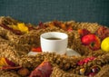 White cup with hot tea, steam, woolen material surrounds a saucer Royalty Free Stock Photo