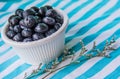 A Cup Of Juicy Blueberries At A Bright Blue Stripy Background Royalty Free Stock Photo