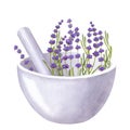 White cup with lavender twigs, flowers and leaves. Bowl and pestle. Aromatherapy, spa, bath. Hand draw watercolor Royalty Free Stock Photo