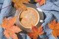 White cup of morning warming coffee on blue knitted sweater with maple yellow leaves background. Cozy home concept