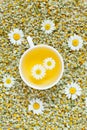 White cup of natural chamomile herbal tea. Dried
